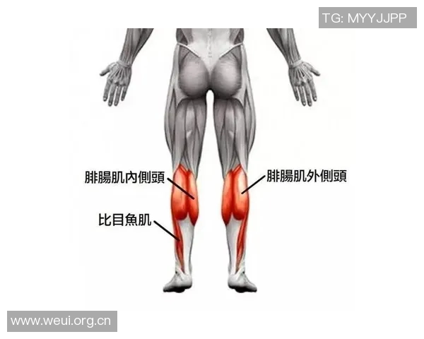 阿拉巴因右小腿比目鱼肌超负荷伤情将缺席比赛7到10天